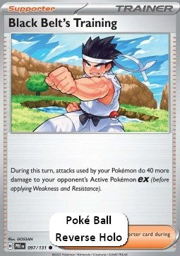 Black Belt's Training