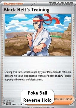 Black Belt's Training