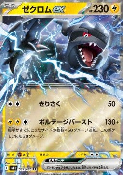 Zekrom ex