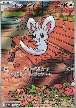 Minccino
